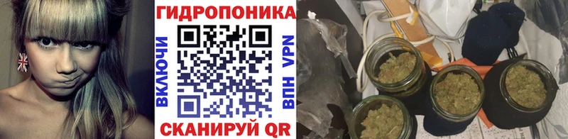 Бошки марихуана Bruce Banner  Тбилисская 